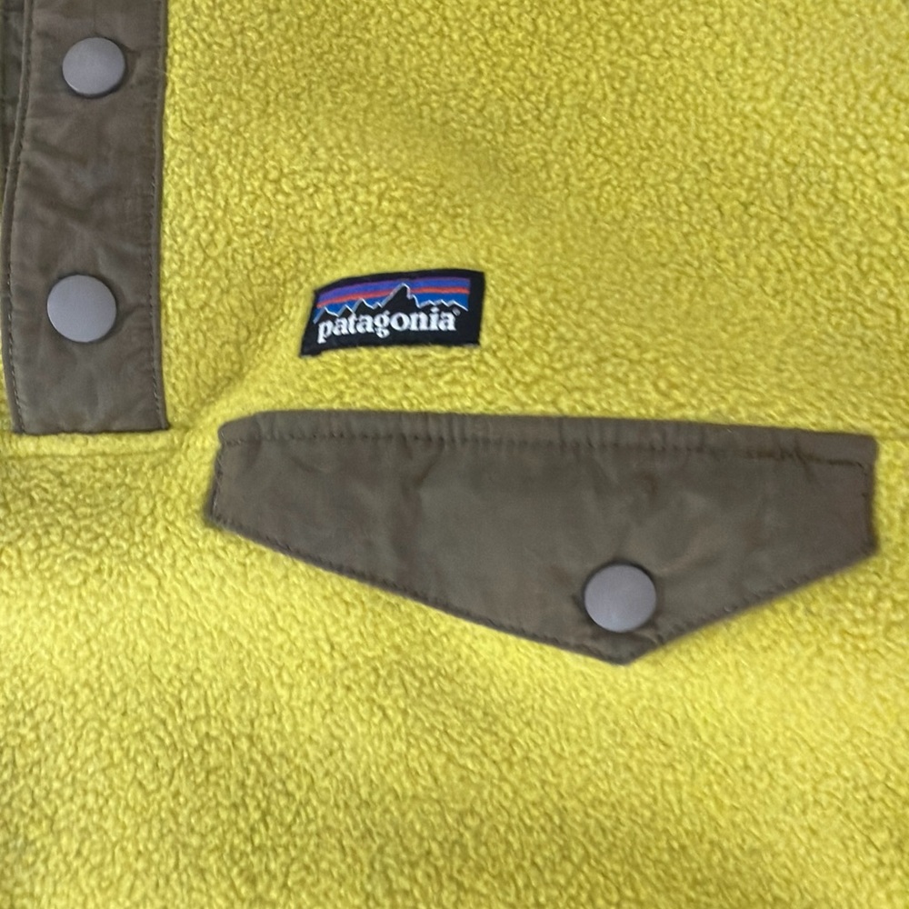 Patagonia Golden Fleece with Tan Accents